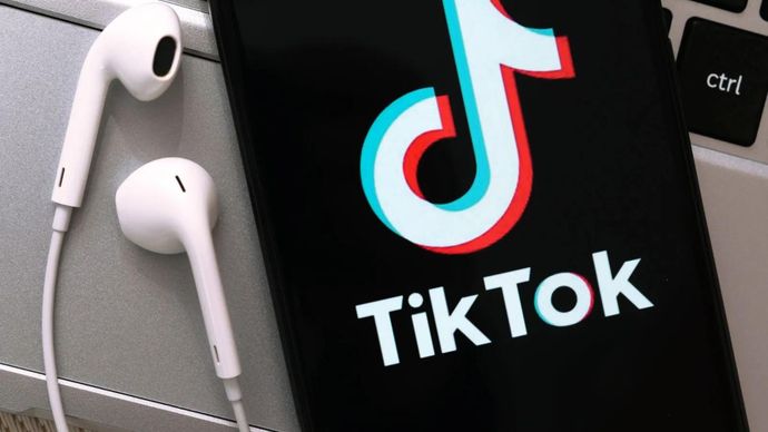 TikTok Jadi Platform Media Sosial Paling Populer 2024 di Indonesia